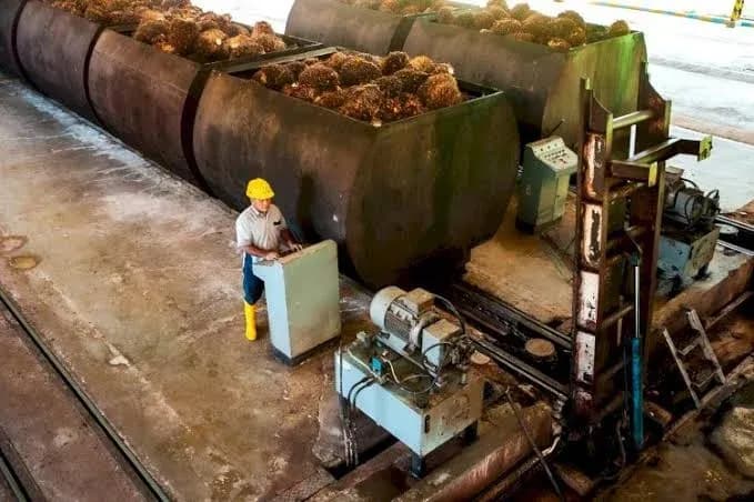 Pemerintah Evaluasi Soal Rencana Penerapan B50 Kelapa Sawit Tahun Depan
